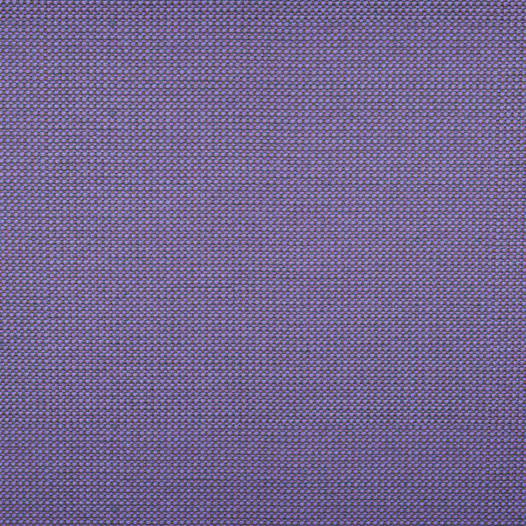 michelangelo-lilac